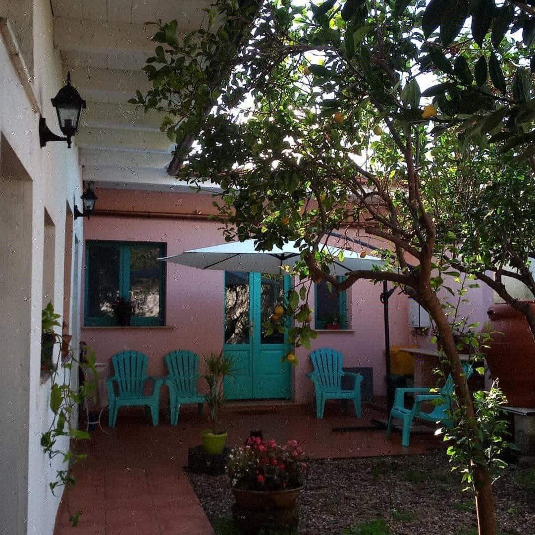 Bed and Breakfast Sardinia Eco Vegan House à Zeddiani Extérieur photo