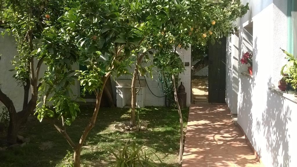 Bed and Breakfast Sardinia Eco Vegan House à Zeddiani Extérieur photo