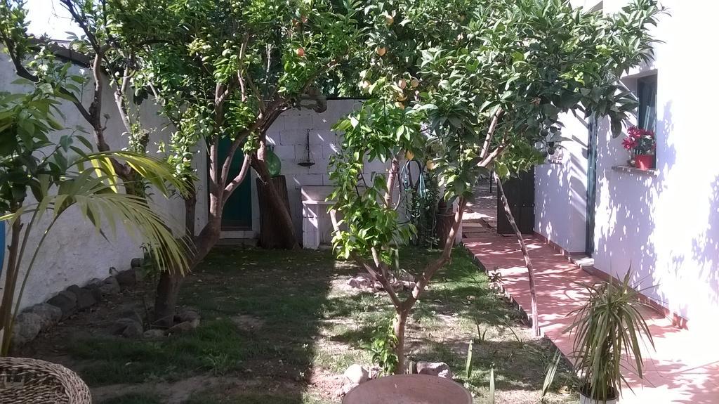 Bed and Breakfast Sardinia Eco Vegan House à Zeddiani Extérieur photo